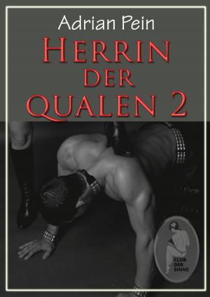 Cover of Herrin der Qualen - Teil 2