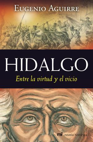 Cover of the book Hidalgo by Esteban Hernández Jiménez