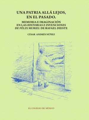 Book cover of Una patria allá lejos en el pasado