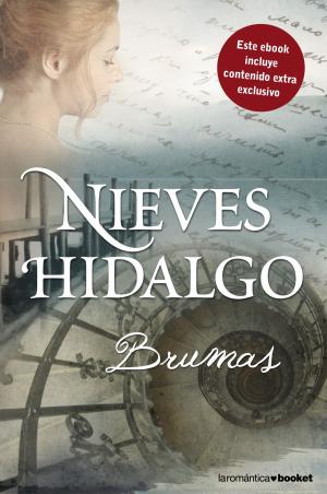 Cover of the book Brumas by Javier Negrete