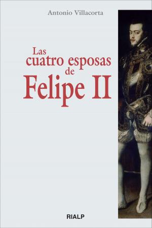 Cover of the book Las cuatro esposas de Felipe II by Onésimo Díaz Hernández
