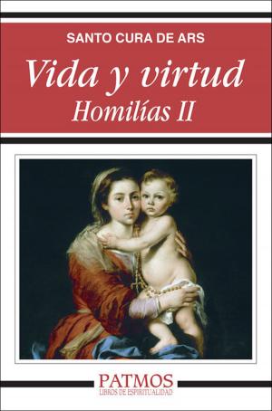 Cover of the book Vida y virtud. Homilías II by José Luis Comellas García-Lera