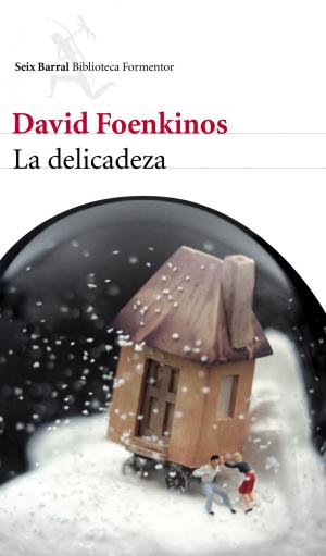 Book cover of La delicadeza