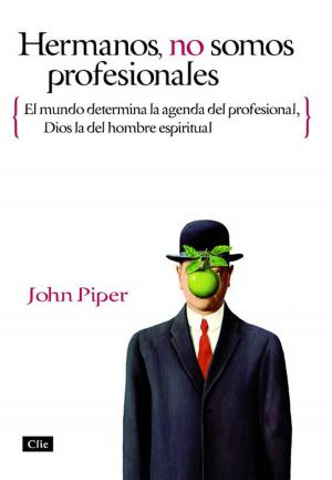 Cover of the book Hermanos, no somos profesionales by Pablo A. Jiménez