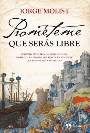 Book cover of Prométeme que serás libre