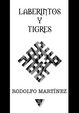 Cover of the book Laberintos y tigres by Diana Kildare
