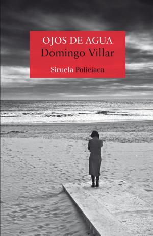 Cover of the book Ojos de agua by Nino Bonaiuto