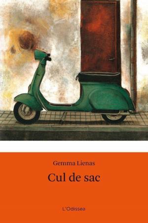 Cover of the book Cul de sac by Carme Riera