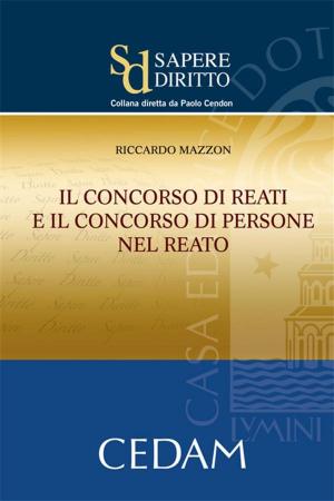 Cover of the book Il concorso di reati e il consorso di persone nel reato by Castagnola Angelo & Delfini Francesco