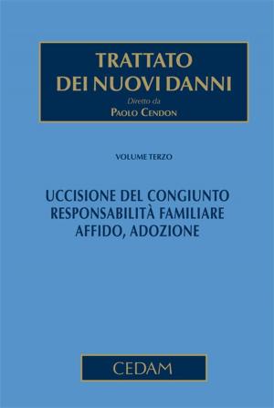 Cover of the book Trattato dei nuovi danni. Volume III by De Filippis Bruno, Rossi Maurizio