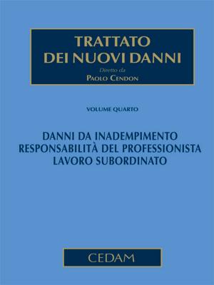 Cover of Trattato dei nuovi danni. Volume IV