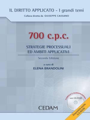Book cover of 700 c.p.c. - Strategie processuali ed ambiti applicativi