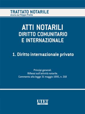 Cover of the book ATTI NOTARILI NEL DIRITTO COMUNITARIO E INTERNAZIONALE - Volume 1 by Antonio Jannarelli - Francesco Macario (diretto da)
