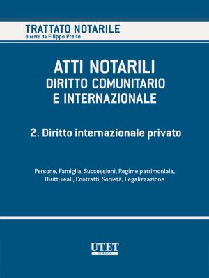 Cover of the book Volume 2. Diritto internazionale privato by Giovanni Bonilini, Vincenzo Barba, Cristina Coppola