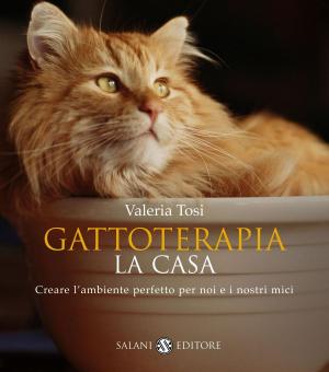 Cover of the book Gattoterapia. La casa by Andrea Vitali