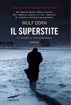 Cover of the book Il superstite by Jon Krakauer