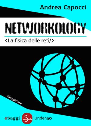 Cover of the book Networkology by Corrado Stajano