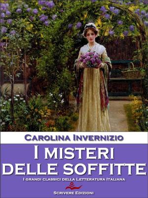 Cover of the book I misteri delle soffitte by Cesare Pascarella
