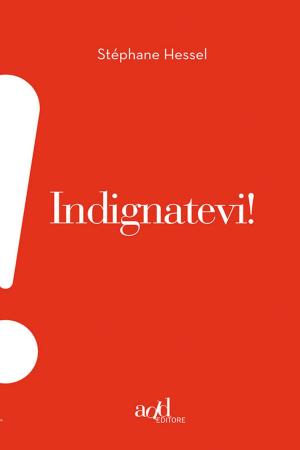 Cover of the book Indignatevi! by Daniele Bolelli