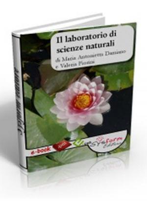 Book cover of Il laboratorio di scienze