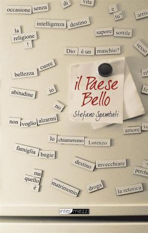 Cover of the book Il Paese bello by Lady T
