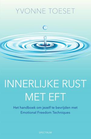 Cover of the book Innerlijke rust met EFT by Vivian den Hollander