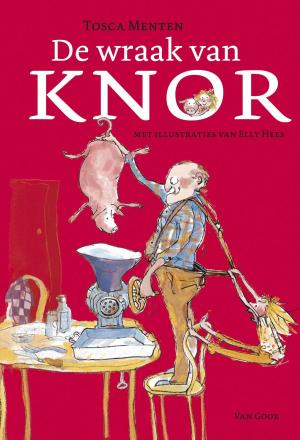 Cover of the book De wraak van Knor by Suzanne Braam, Dick Laan
