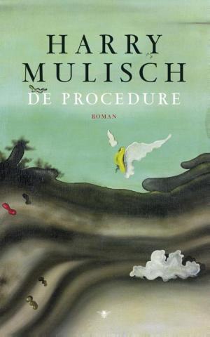 Cover of the book De procedure by Hans Schnitzler