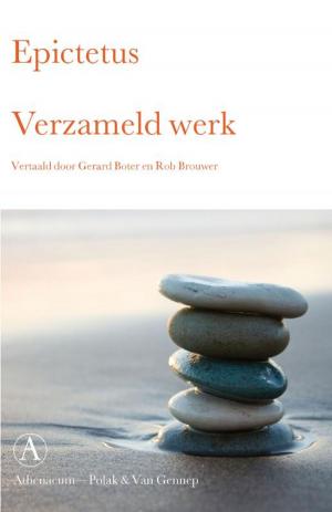 Cover of the book Verzameld werk by Ru de Groen