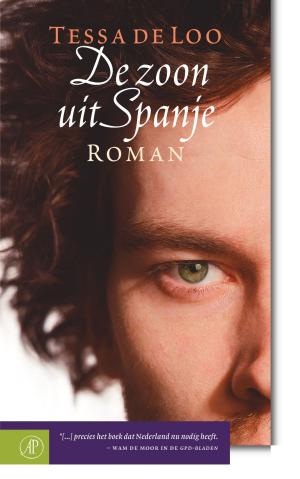 Book cover of De zoon uit Spanje
