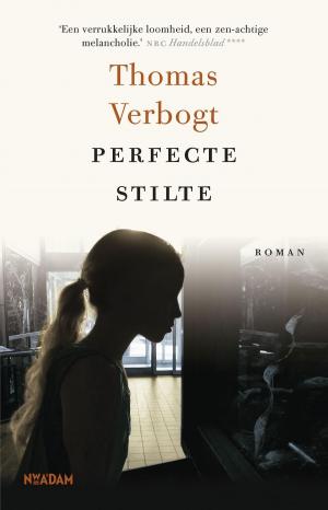 Book cover of Perfecte stilte