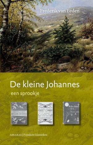 Cover of the book De kleine Johannes by Patty van Delft