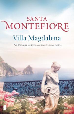 Cover of the book Villa Magdalena by Sanjeeb Behera