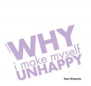 Book cover of Why I Make Myself Unhappy (2n ed)