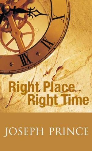 Book cover of Right Place Right Time