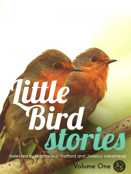Cover of the book Little Bird Stories by Matthew J. Trafford, Jessica Westhead, Sarah Selecky International, Inc.