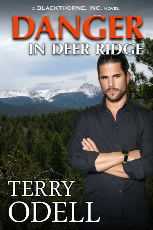 Cover of the book Danger in Deer Ridge by Terry Odell, Terry Odell