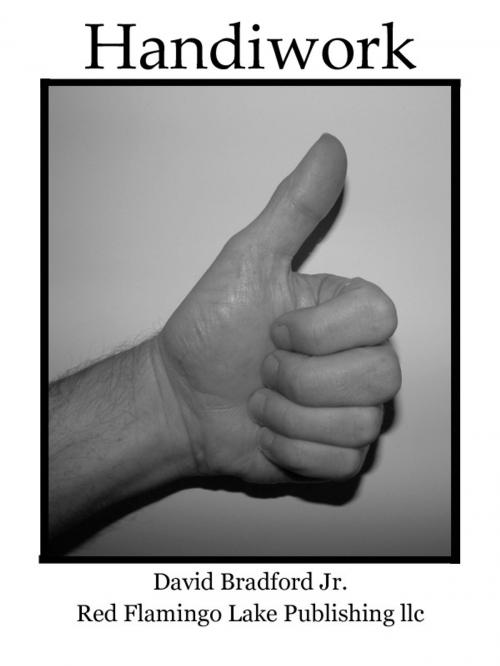 Cover of the book Handiwork by David Bradford Jr., Red Flamingo Lake Publishing llc