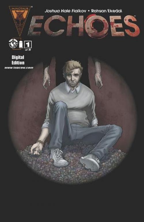 Cover of the book Echoes #1 (of 5) by Joshua Hale Fialkov, Top Cow