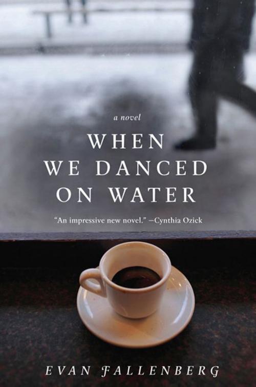 Cover of the book When We Danced on Water by Evan Fallenberg, HarperCollins e-books