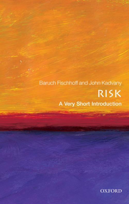 Cover of the book Risk: A Very Short Introduction by Baruch Fischhoff, John Kadvany, OUP Oxford