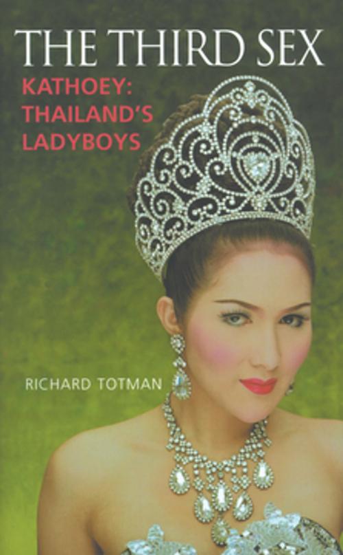 Cover of the book The Third Sex by Dr Richard Totman, Profile