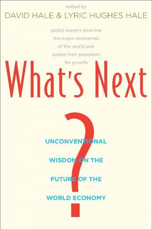 Cover of the book What's Next?: Unconventional Wisdom on the Future of the World Economy by David Hale, Lyric Hughes Hale, Yale University Press