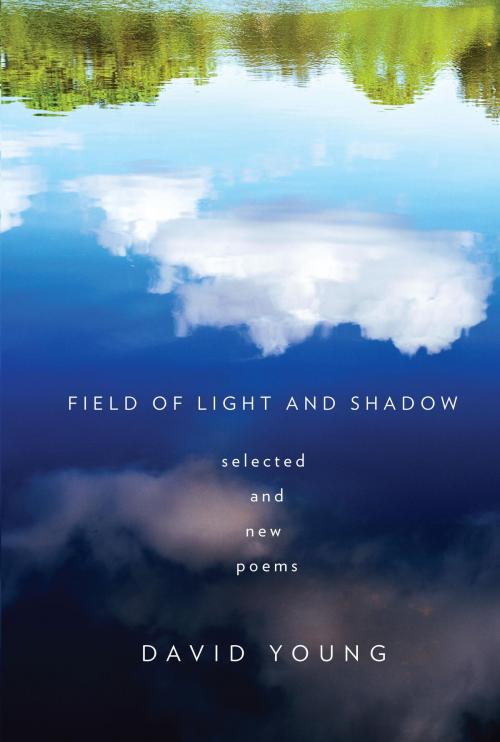 Cover of the book Field of Light and Shadow by David Young, Knopf Doubleday Publishing Group