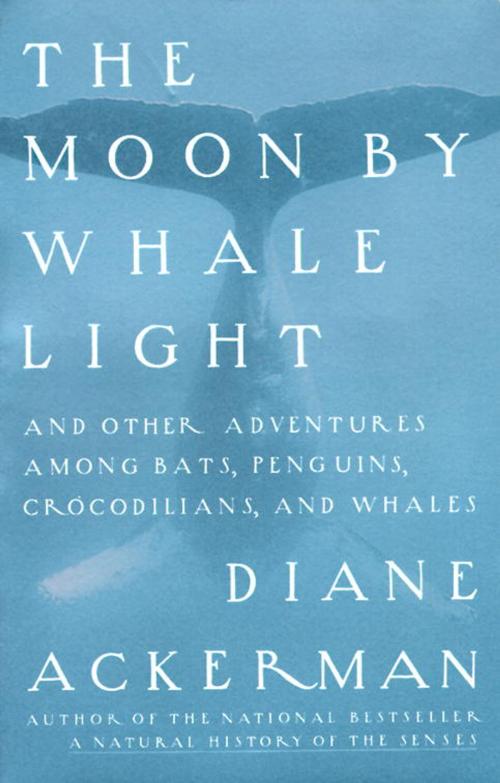 Cover of the book Moon By Whale Light by Diane Ackerman, Knopf Doubleday Publishing Group