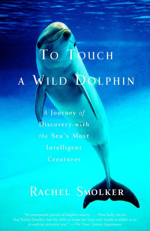 Cover of the book To Touch a Wild Dolphin by Rachel Smolker, Knopf Doubleday Publishing Group