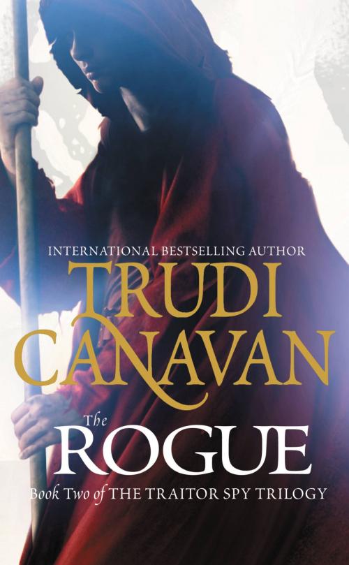 Cover of the book The Rogue by Trudi Canavan, Orbit