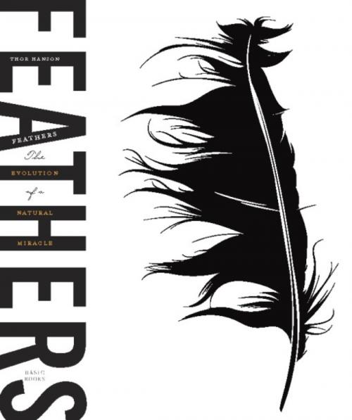Cover of the book Feathers by Thor Hanson, Basic Books