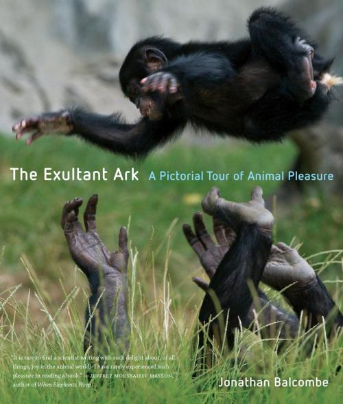 Cover of the book The Exultant Ark by Jonathan Peter Balcombe, University of California Press