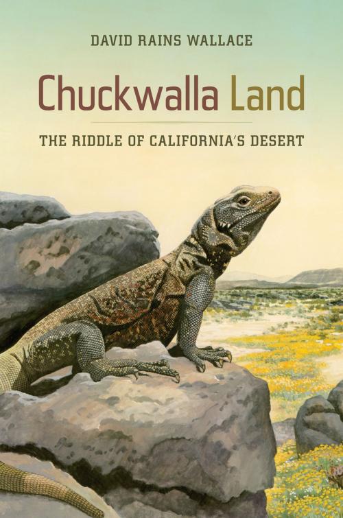 Cover of the book Chuckwalla Land by David Rains Wallace, University of California Press